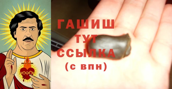 гашик Новозыбков