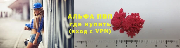 СК Алексин