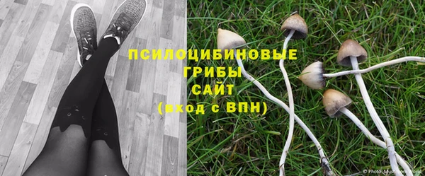 СК Алексин