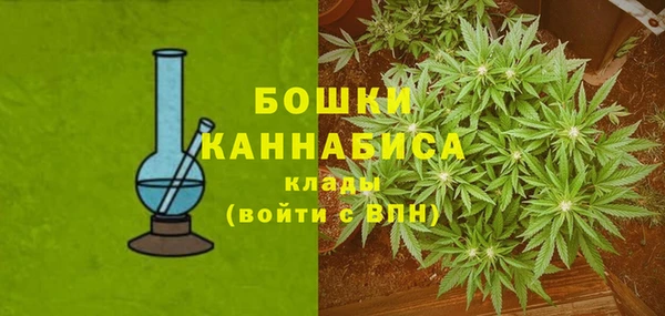 СК Алексин
