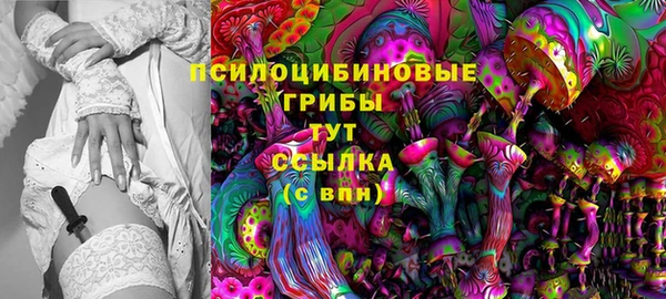 СК Алексин